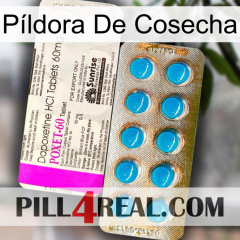 Píldora De Cosecha new07